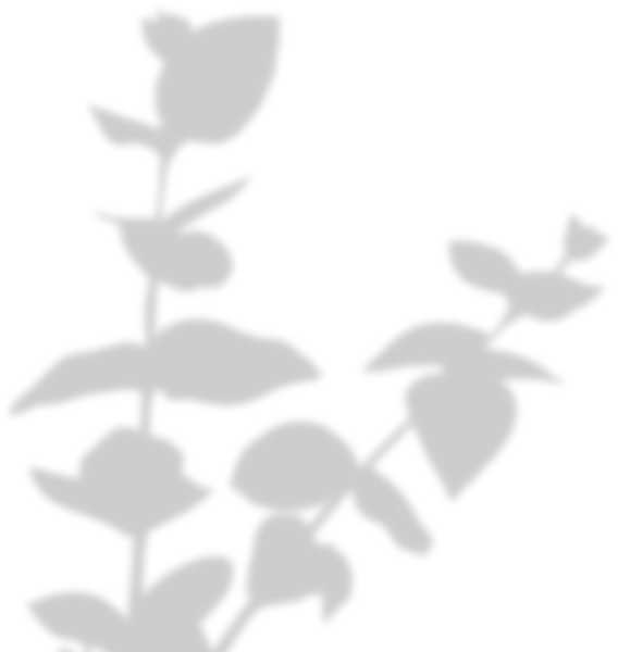 Simple Floral Shadow Stems